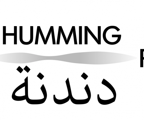Syrian Humming Project
